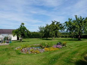 The Paddock